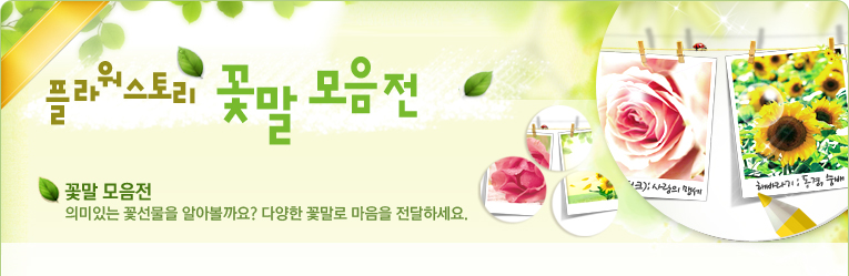 꽃말 모음전